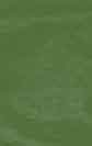 fern green