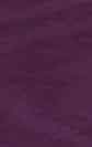 purple violet